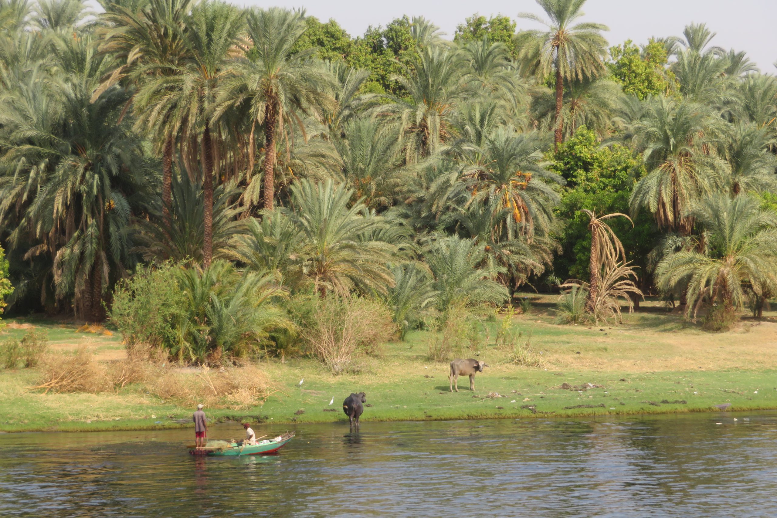 Wadi Araba